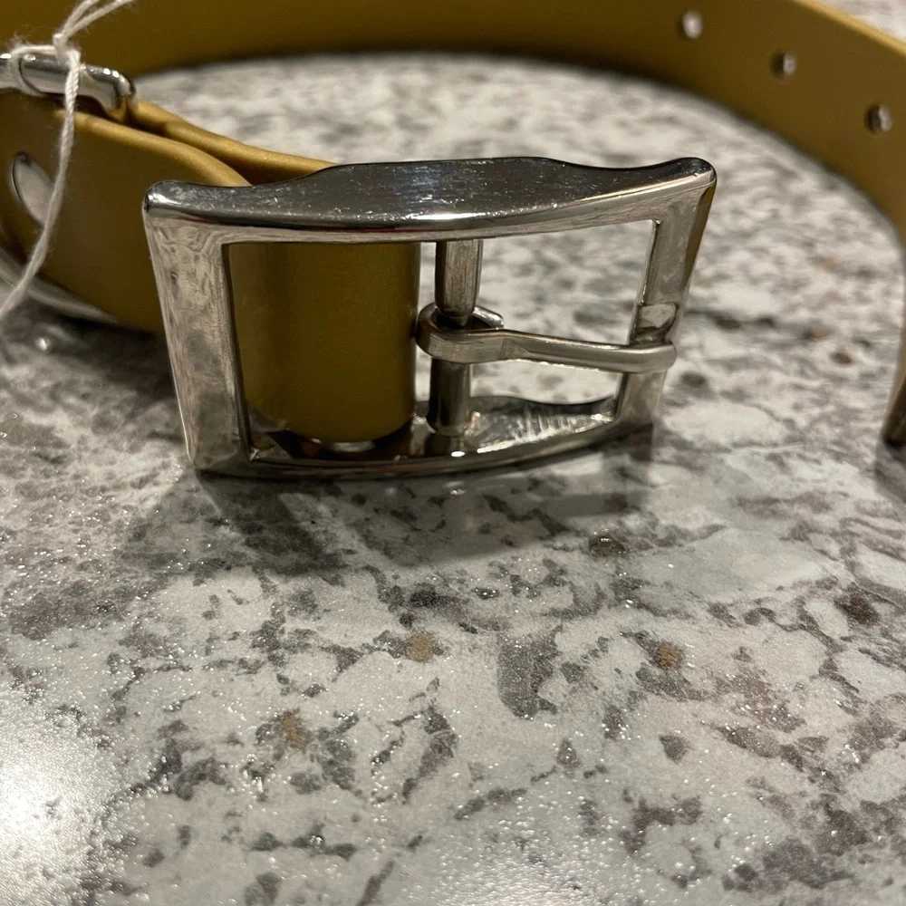 Biothane Olive dog collar with Silver Buckle size 12-15 inch